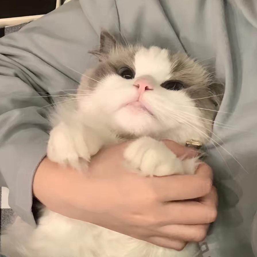 达速跨越青岛站