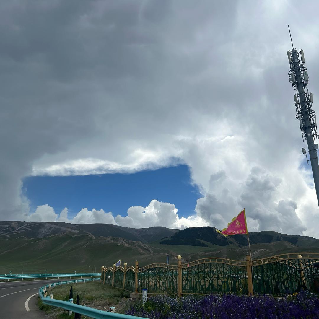 风中劲草