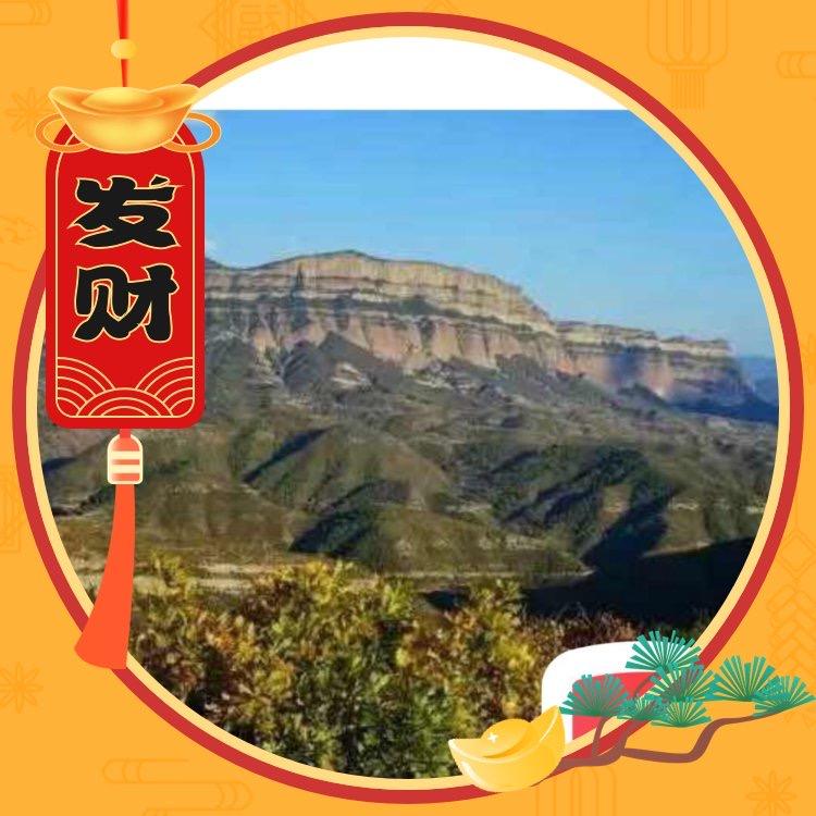 SHEN 兵哥(互）