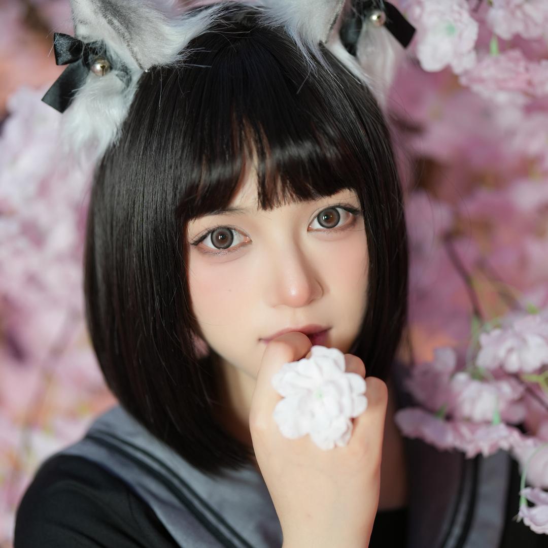小菜叽叽歪歪～