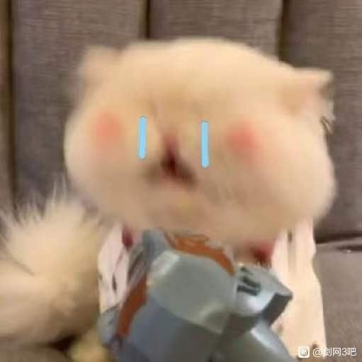 ˚✧₊⁎❝᷀ົཽ≀ˍ̮ ❝᷀ົཽ⁎⁺˳✧