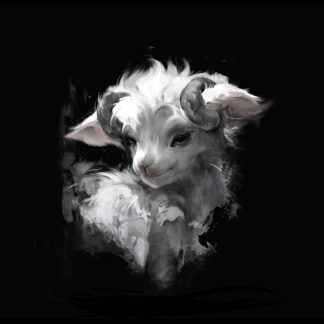 Sheep