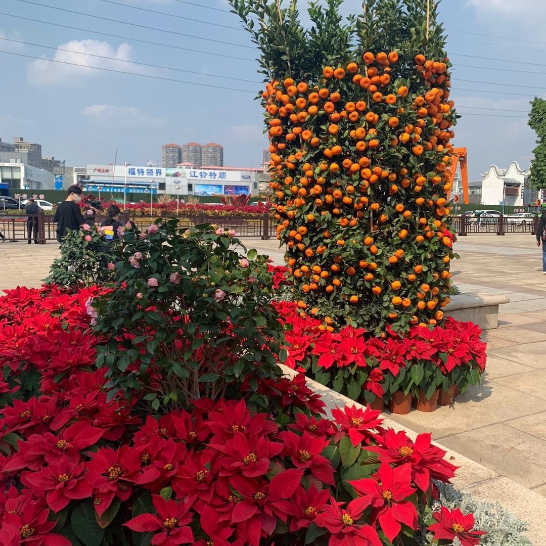 开心快乐每一天