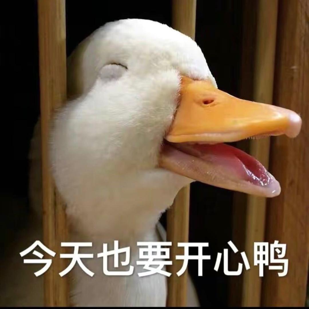 ：小小苏；