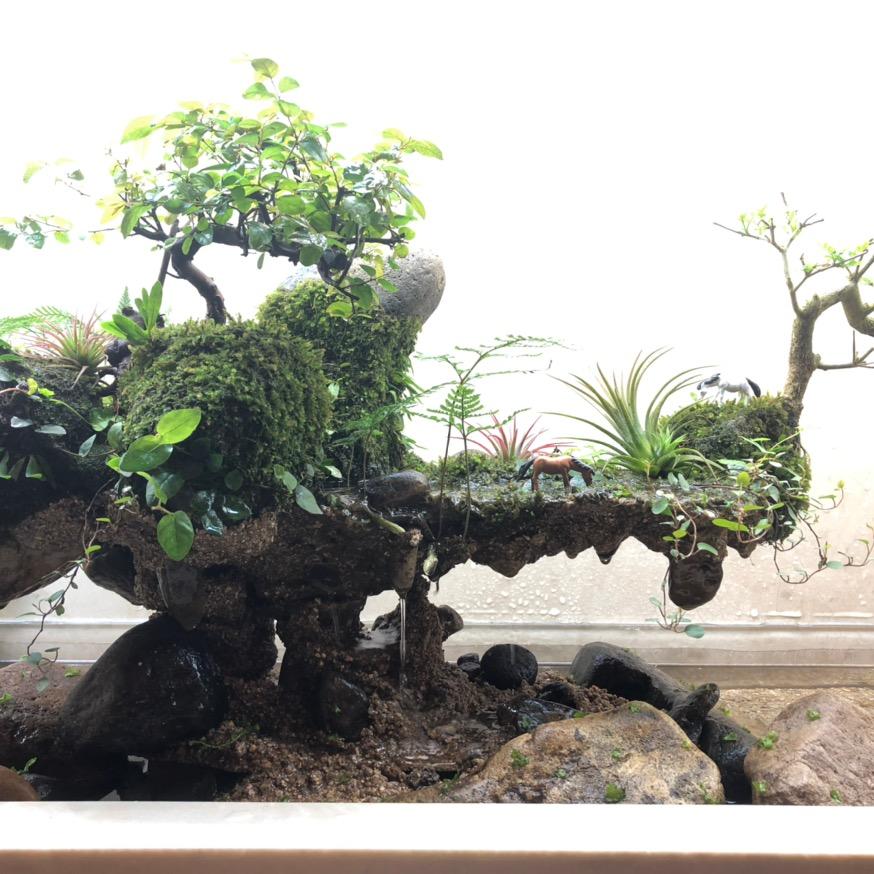 飞龙传奇造景