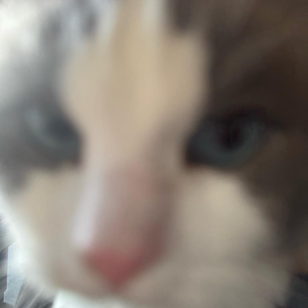 ㅤ·