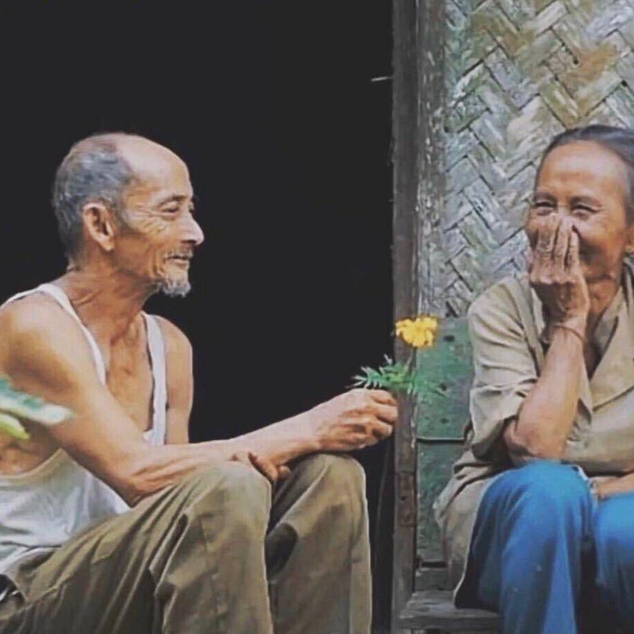 陈羊羊🐏（懒人版）