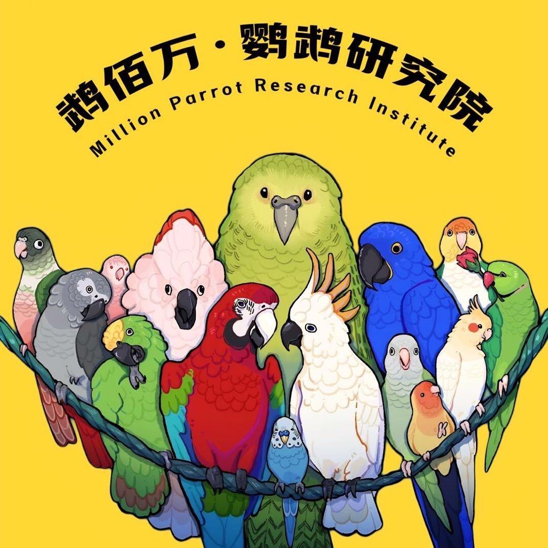 鹉佰万•鹦鹉研究院