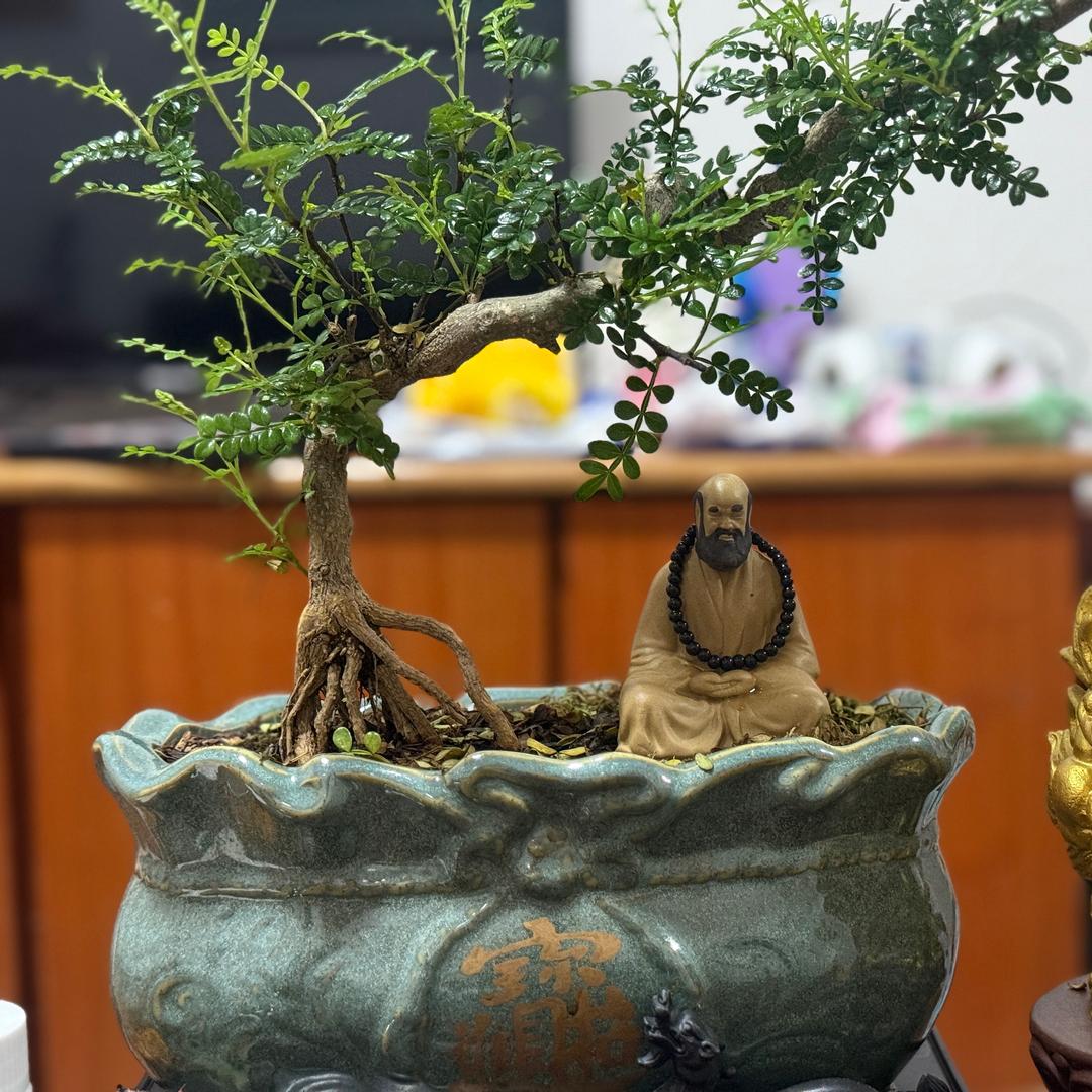 🌈老谋深算但又算不明白🌈