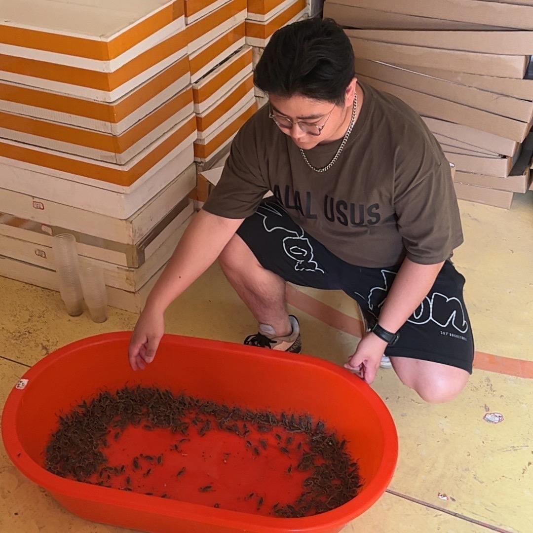 荥阳市飞翔全蝎养殖基地