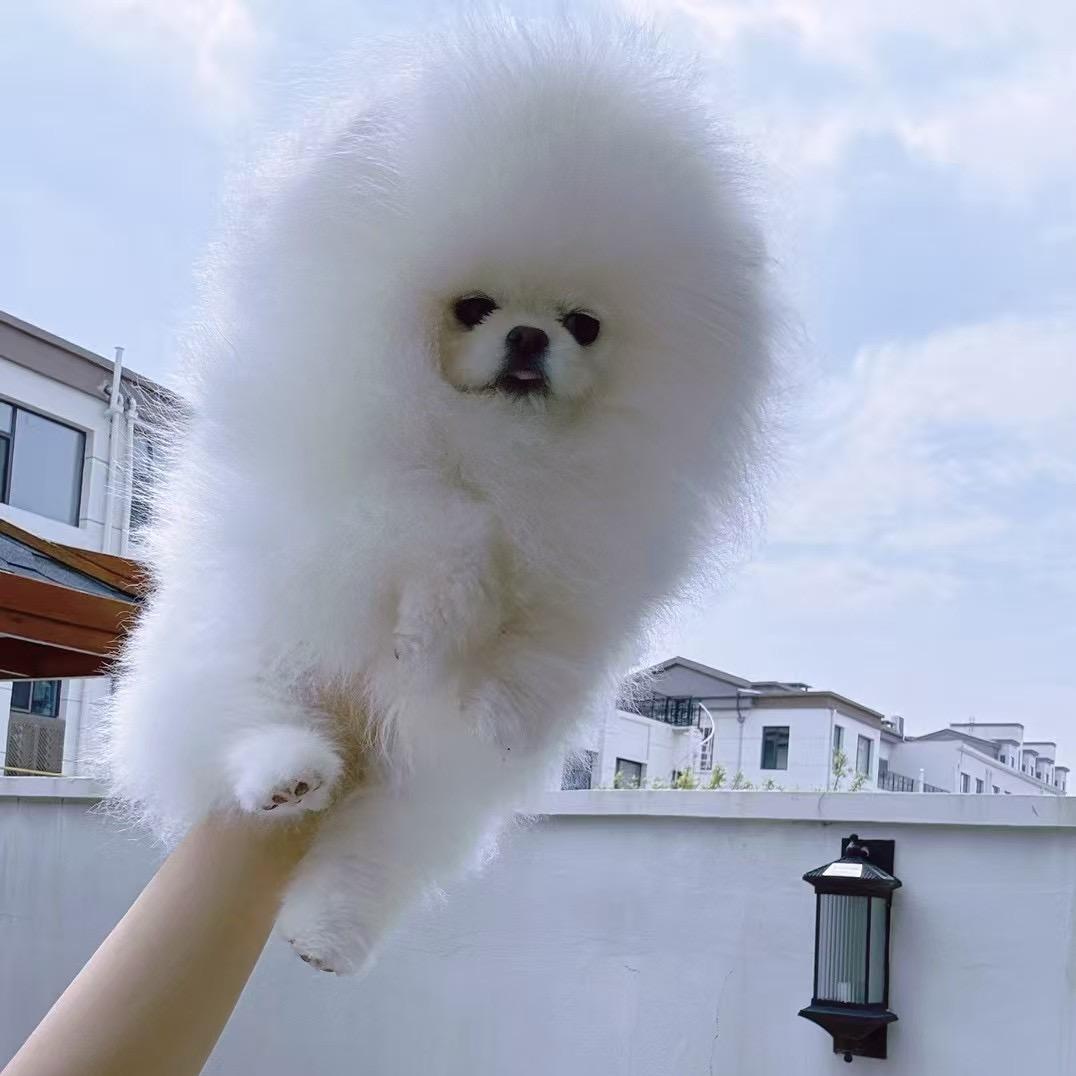 大海