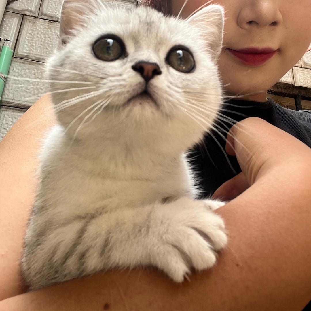 蓉蓉☄