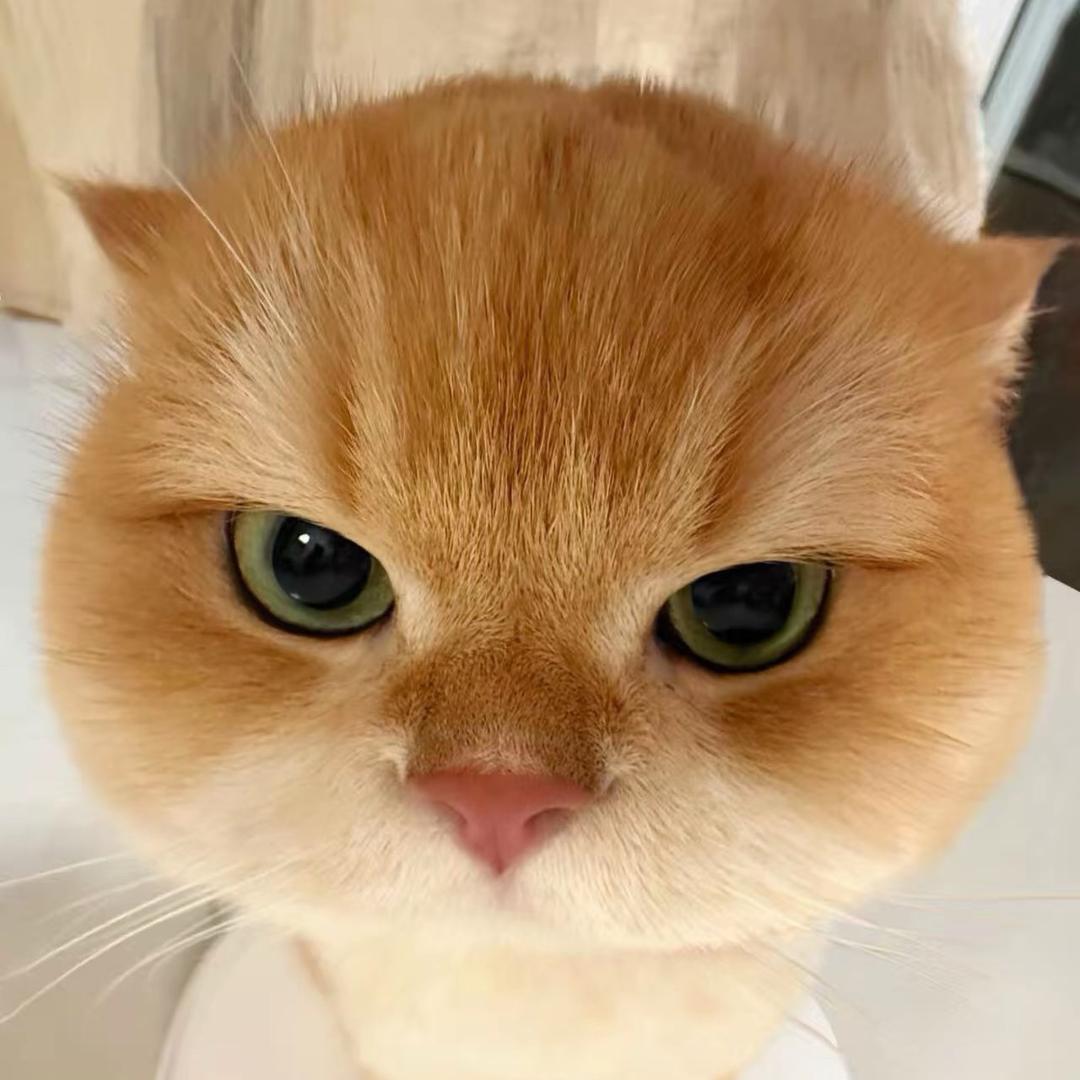 空空仔（推土机版）