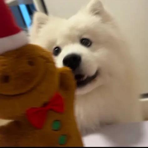 我耳机呢（和周柏豪合影版）