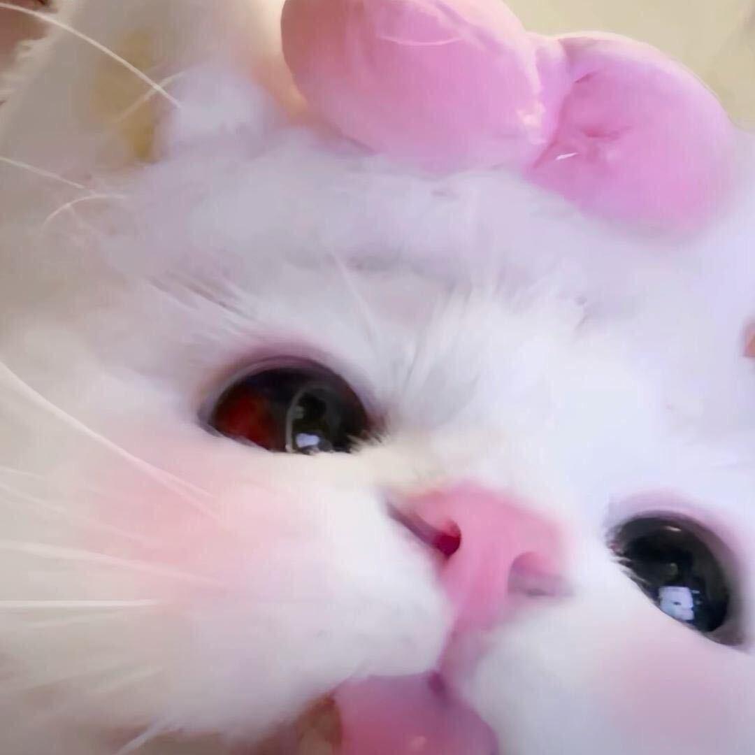 尤怜