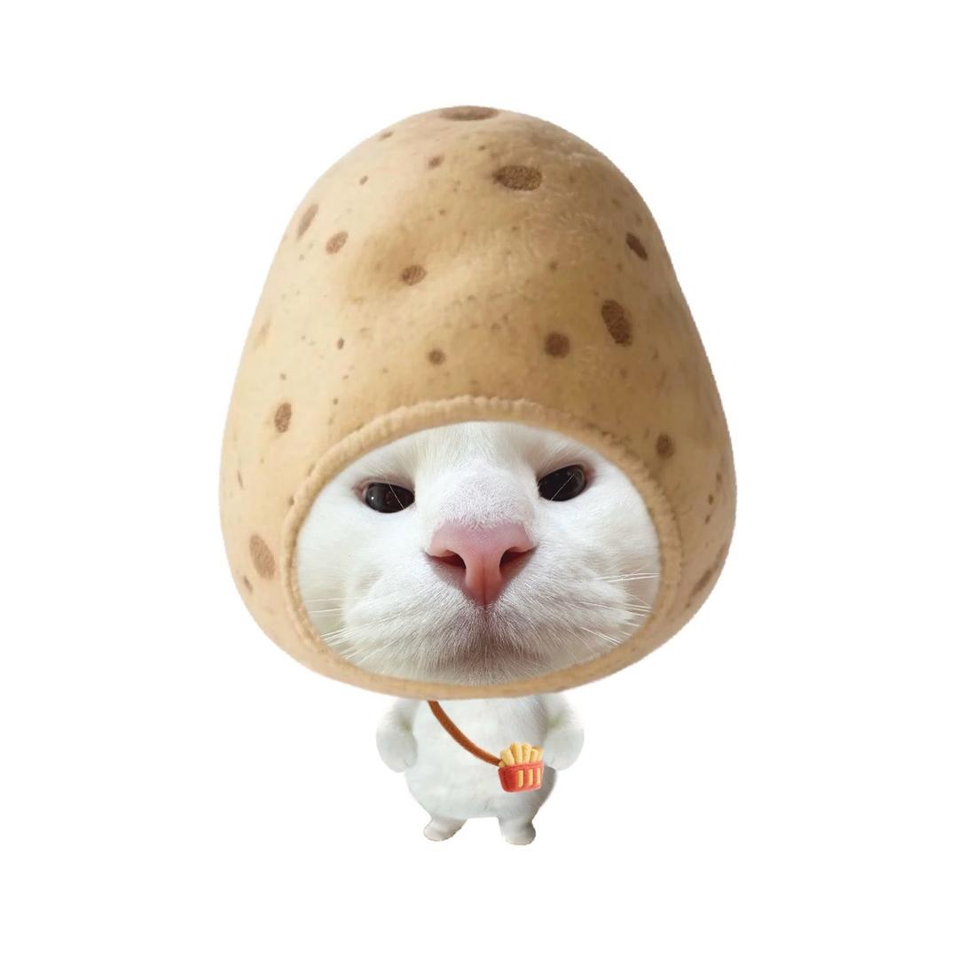 小小小刘