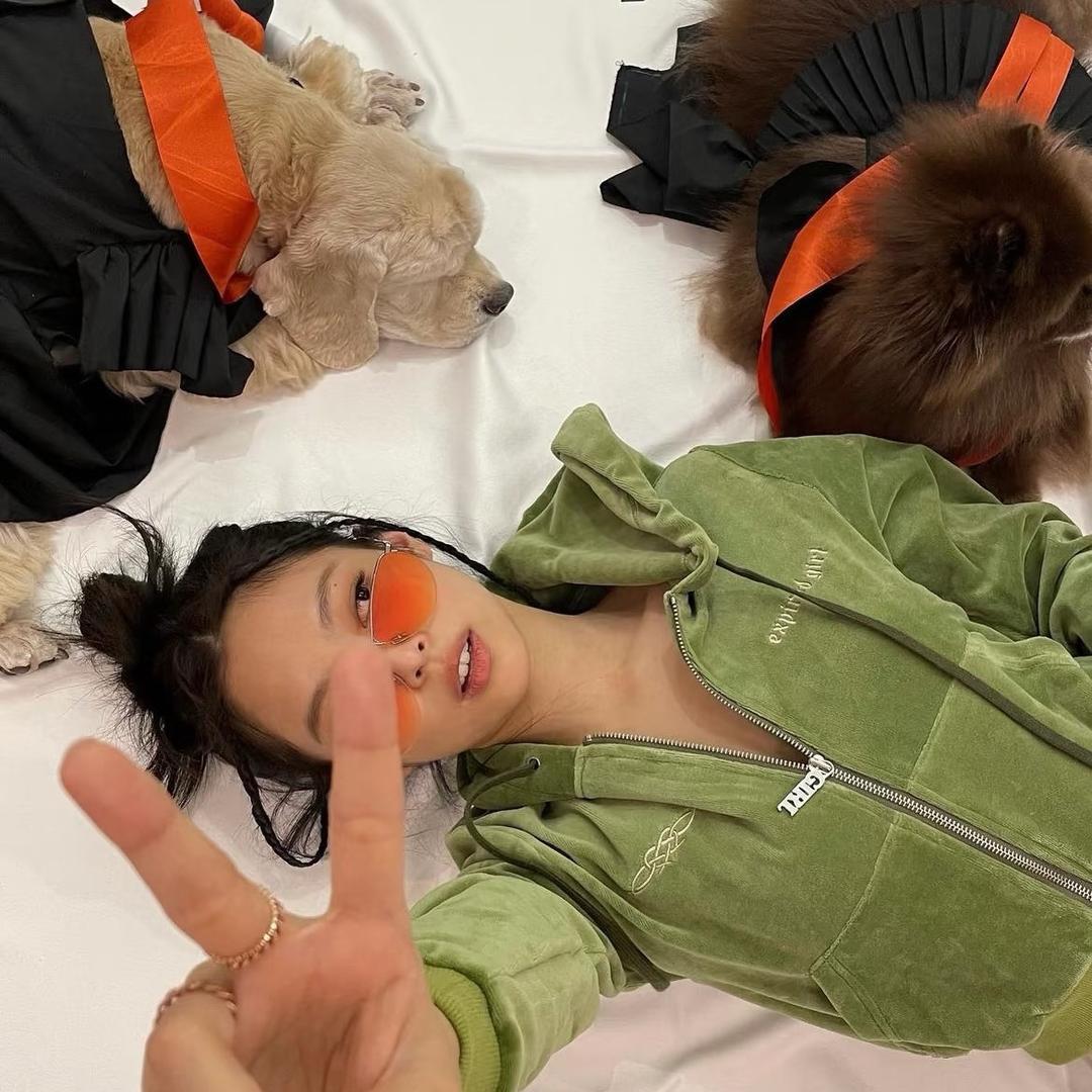 黑狗黄狗是朋友