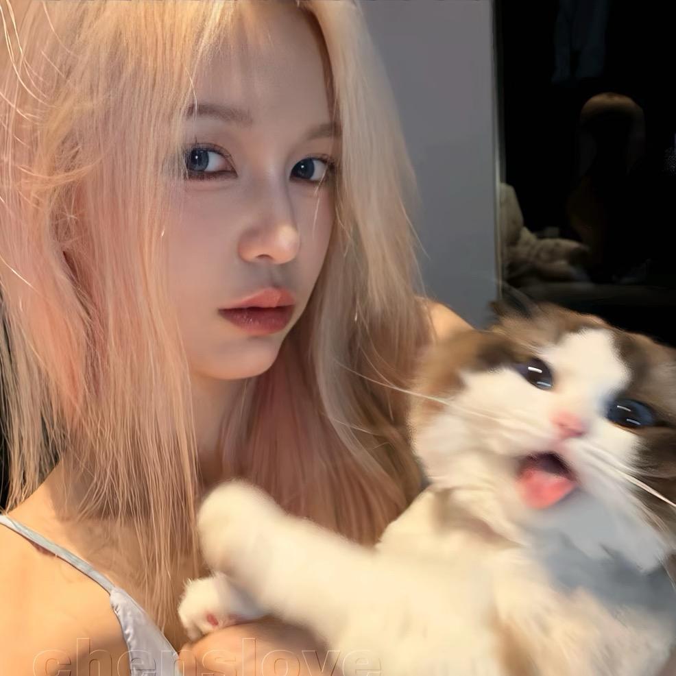 ˗ˋˏ𓃟ˎˊ˗