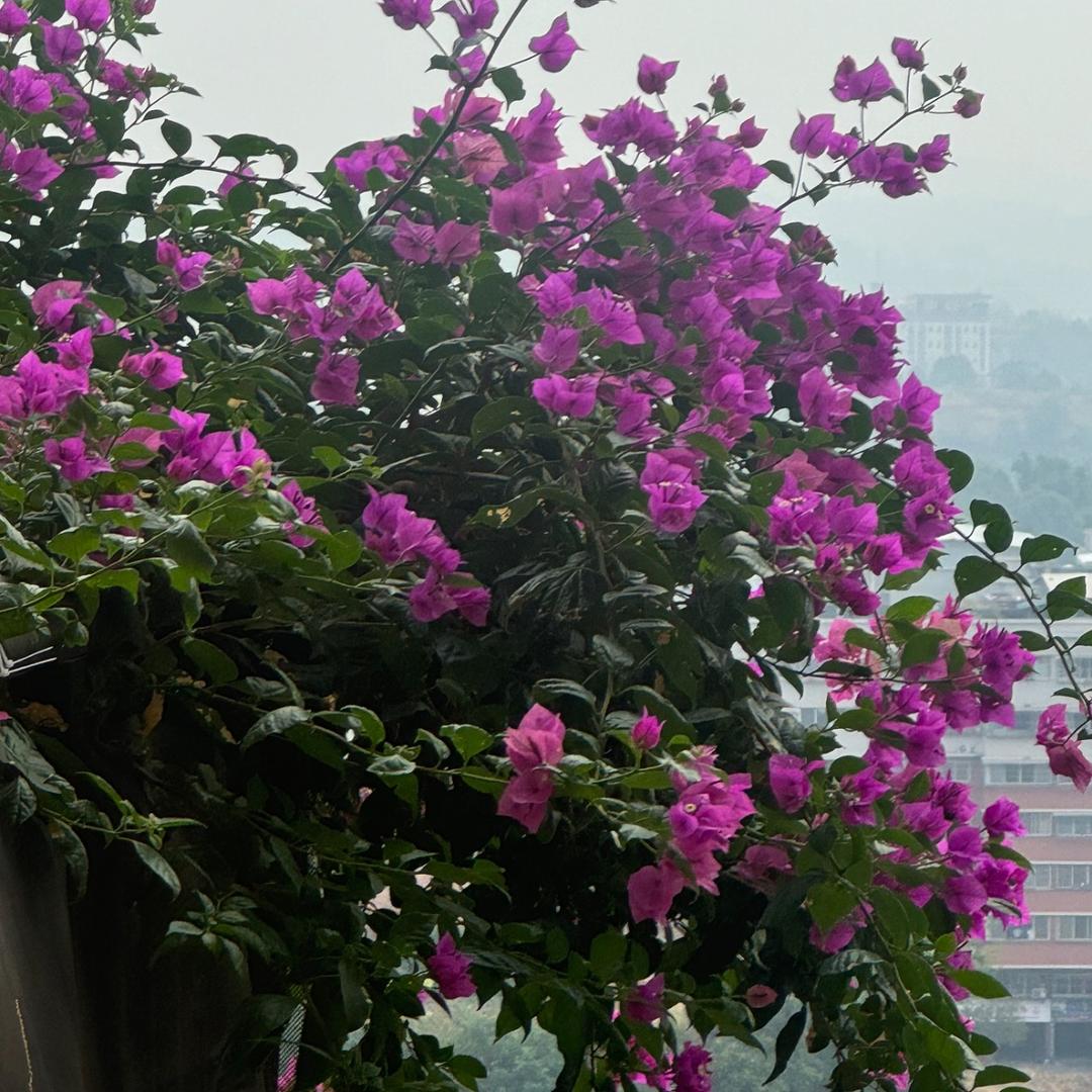喜欢吃海鲜