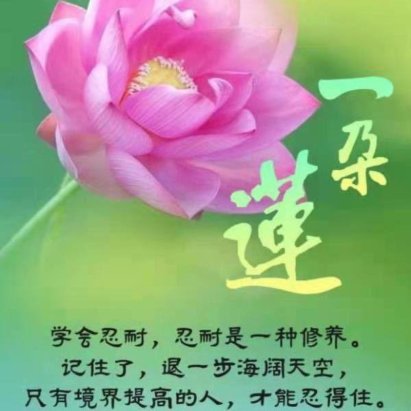 用户fortona