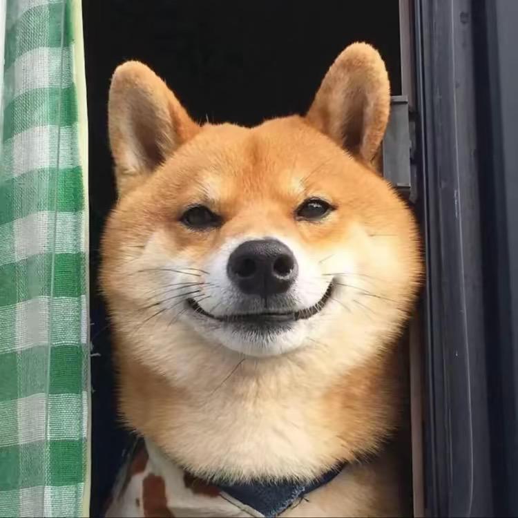 地铁逃生西风