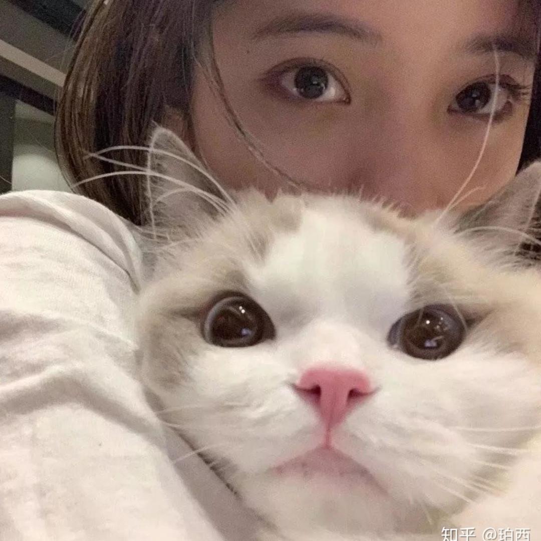 纸厂黄老吉
