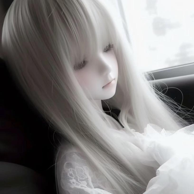 喵宝宝