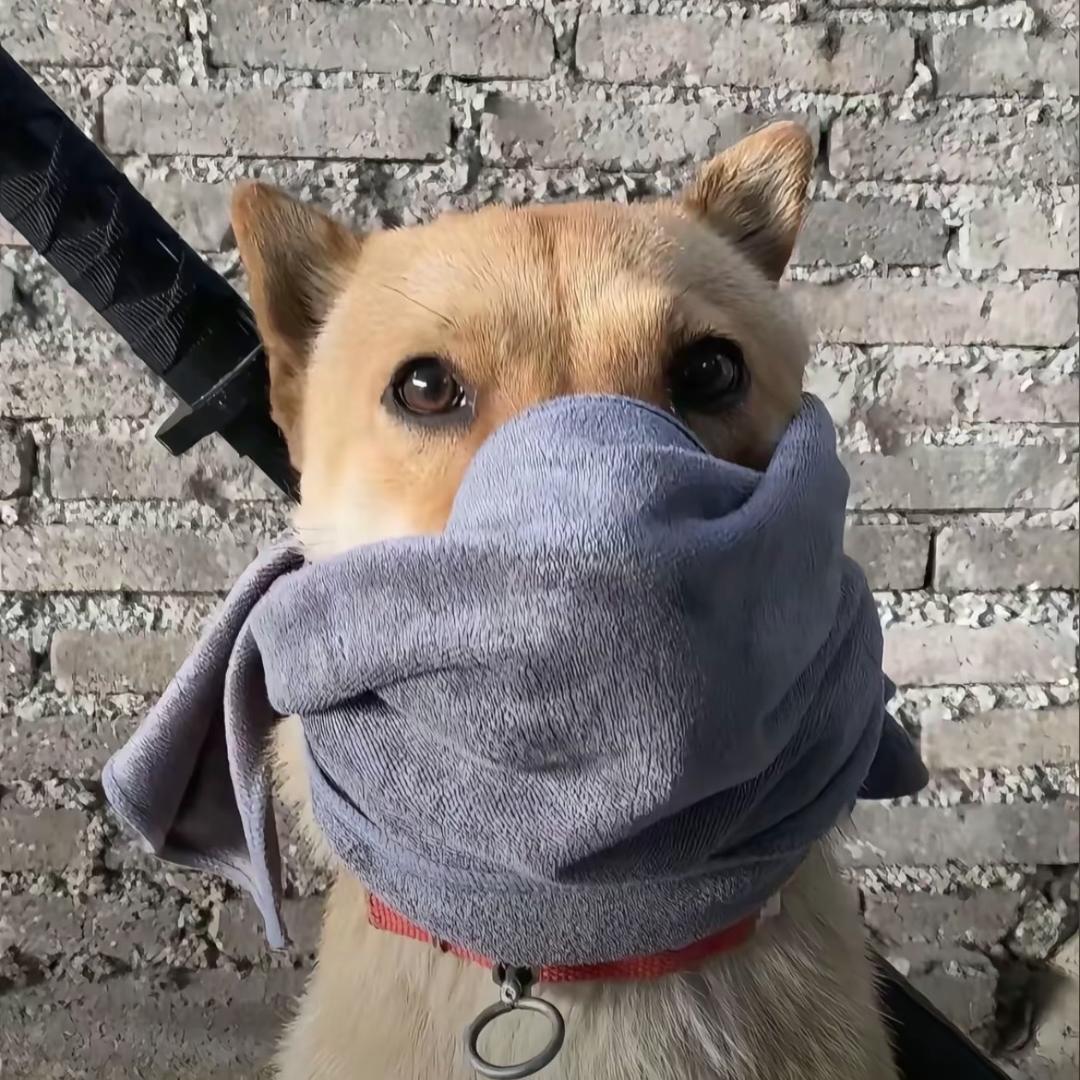 十一