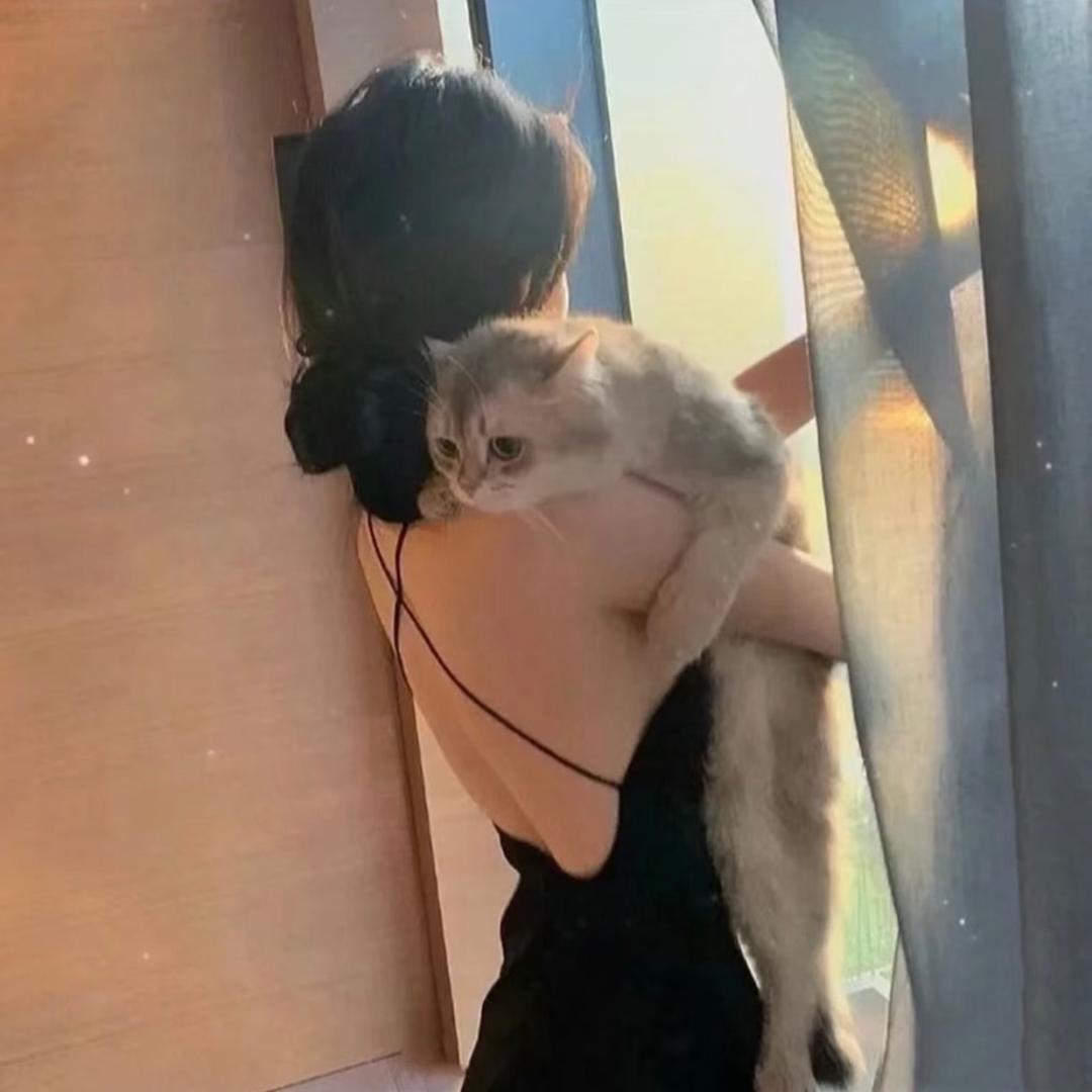 🐾 🐾 🐾 燃後