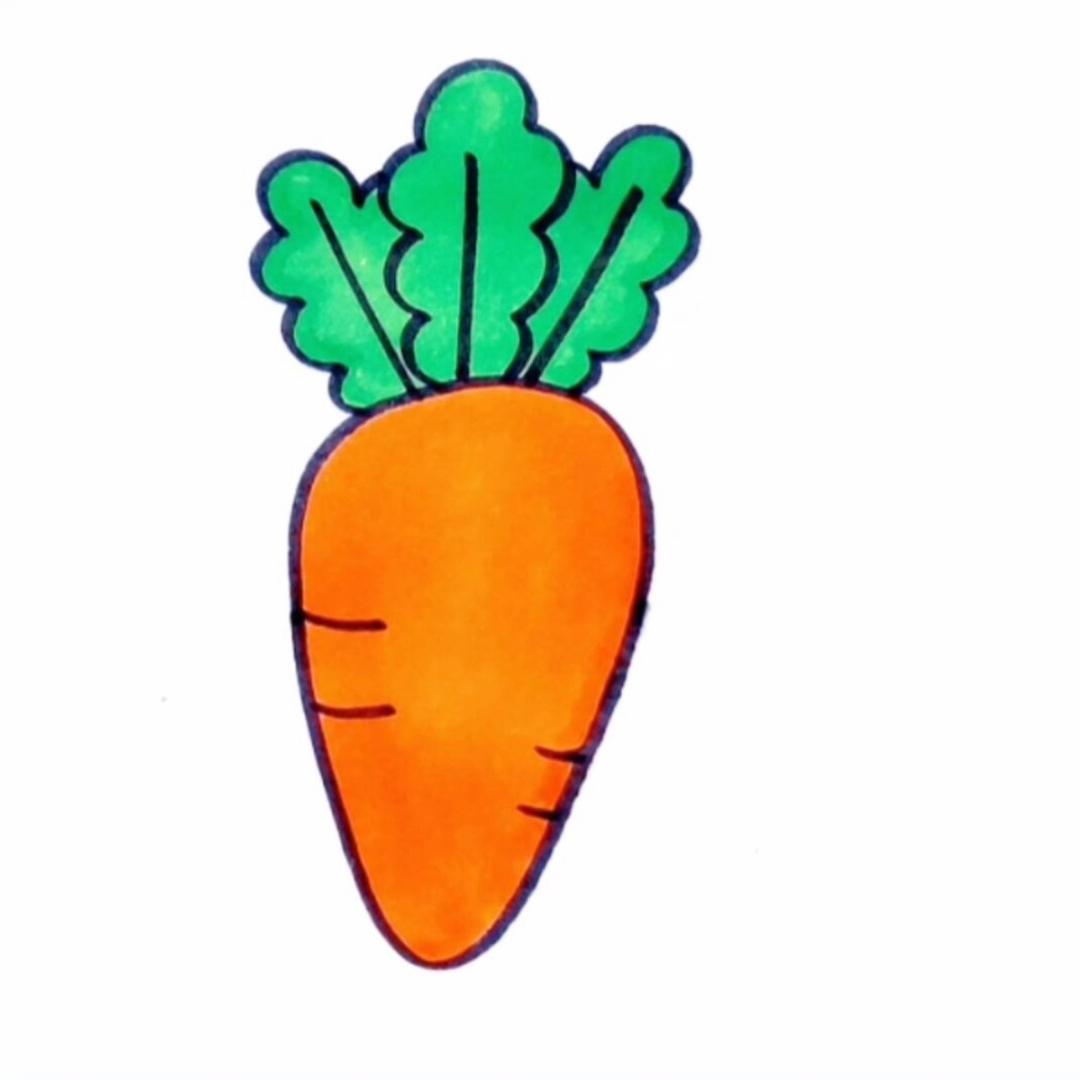 萝卜🥕全国研学