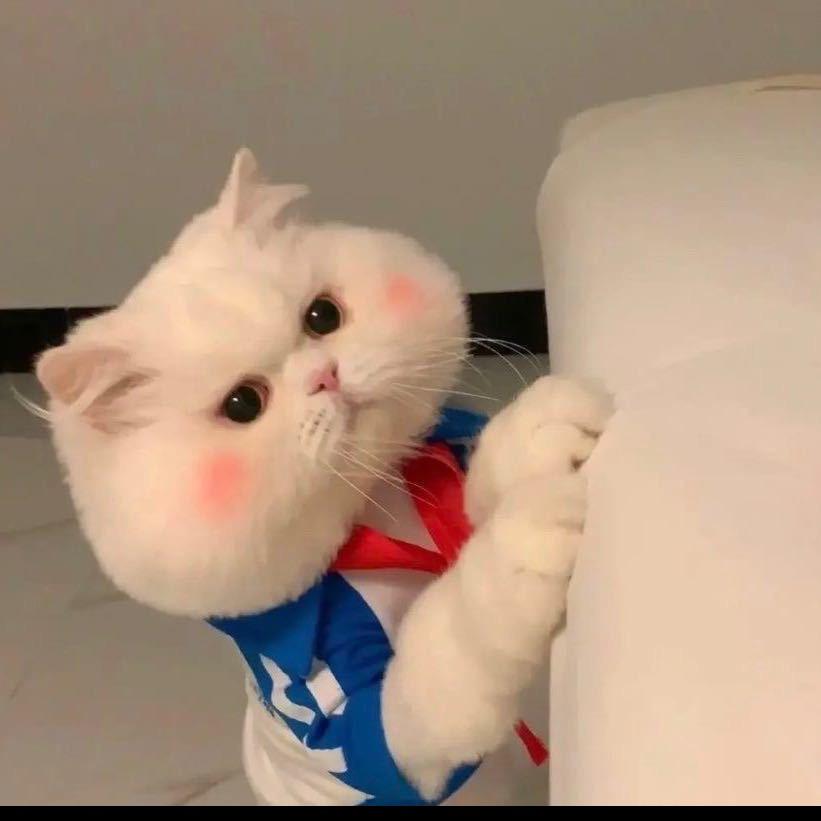 默默(♡ ὅ ◡ ὅ )ʃ♡