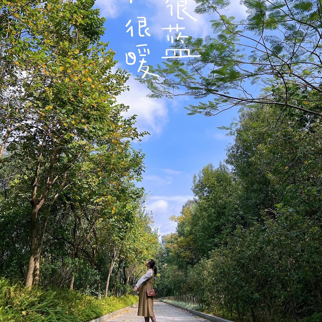 小鹿鹿