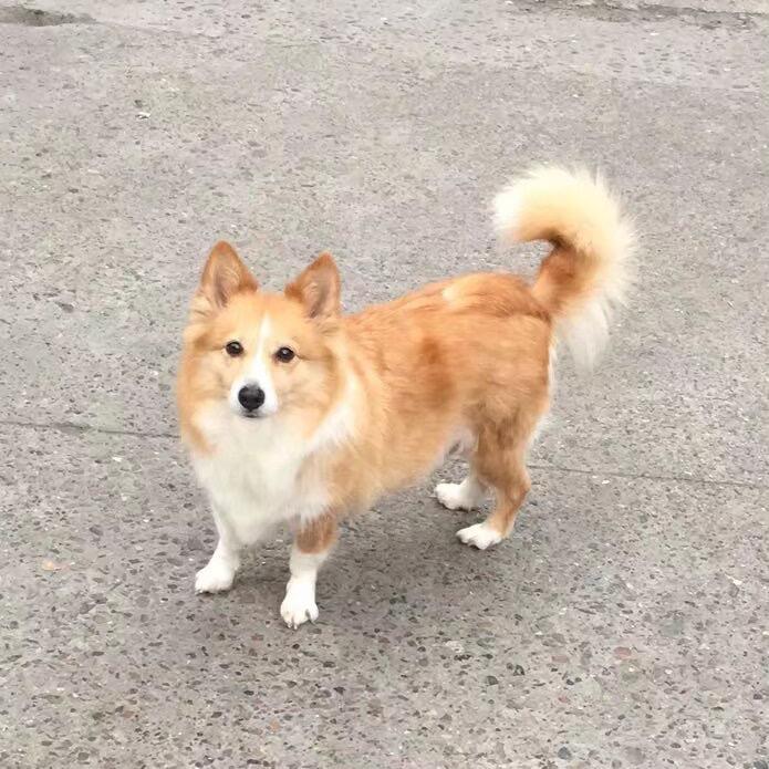 优优84042