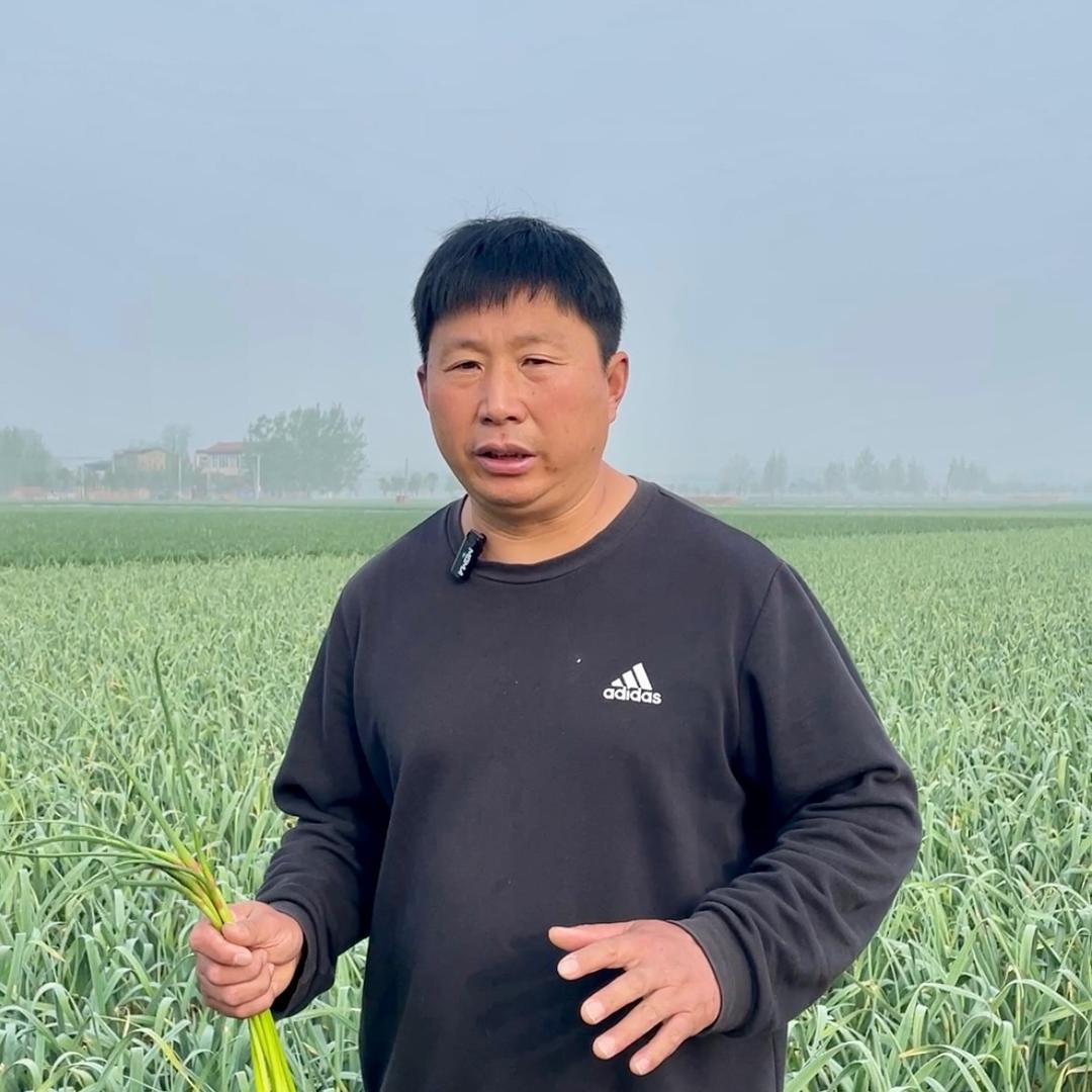 通许老张果蔬