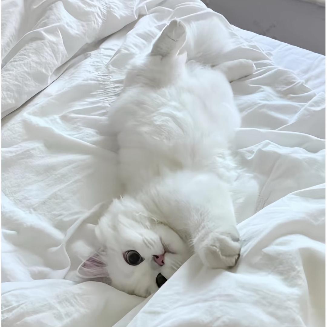31yddd