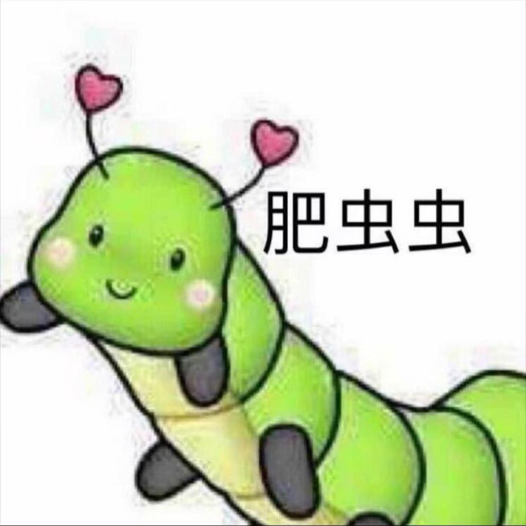 泰拳超级粉丝