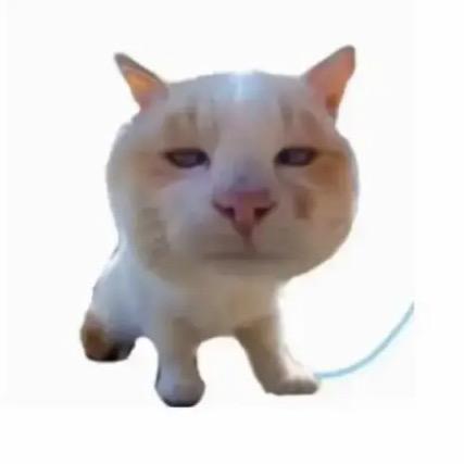 Iron