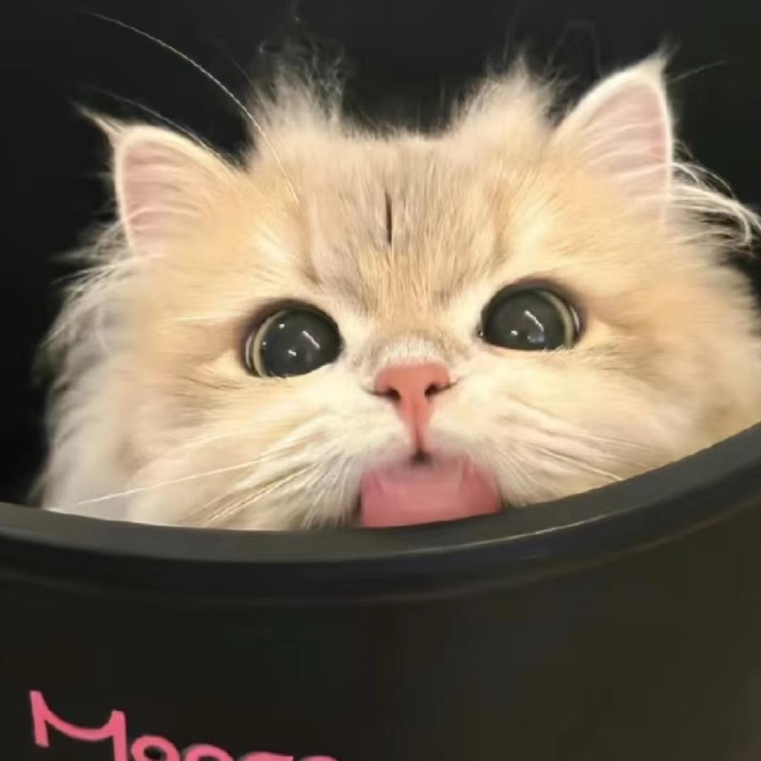 泡芙
