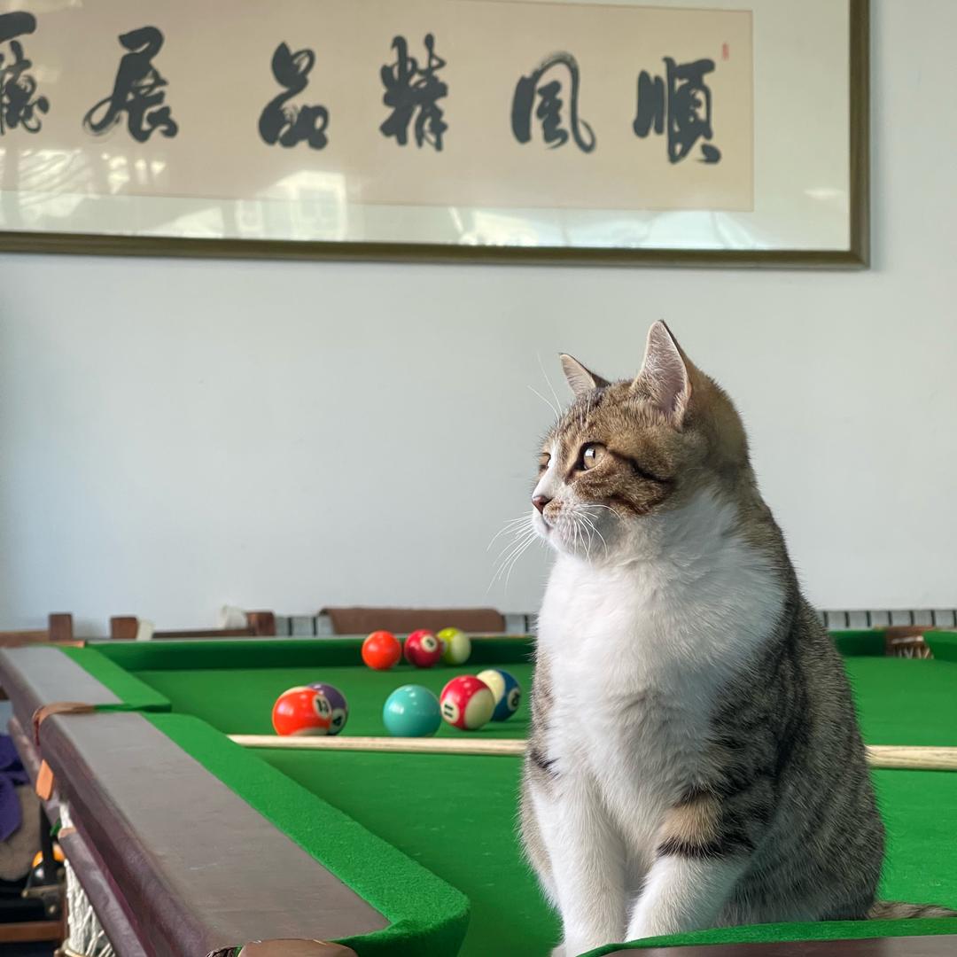 老威顺风车行～老震