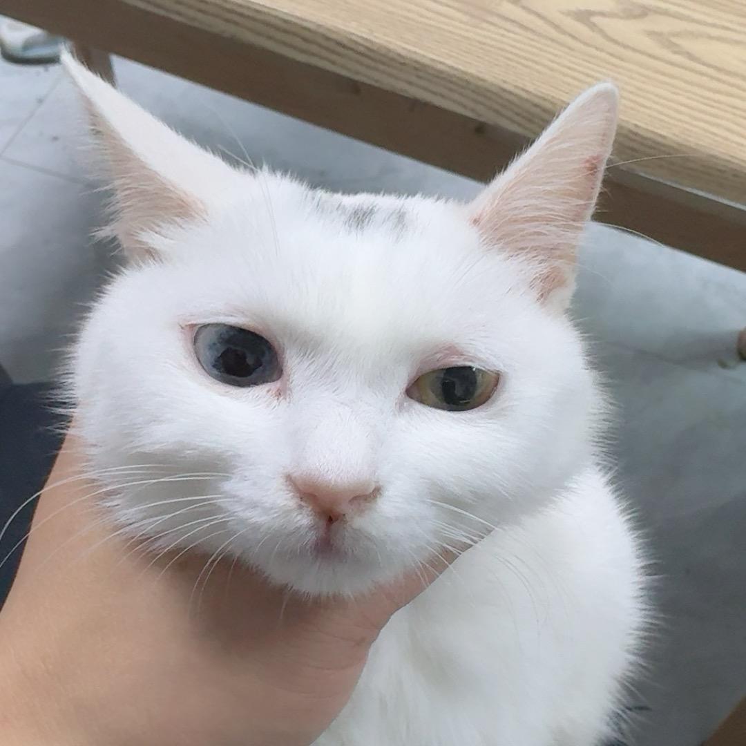 是眼睛迷失了方向