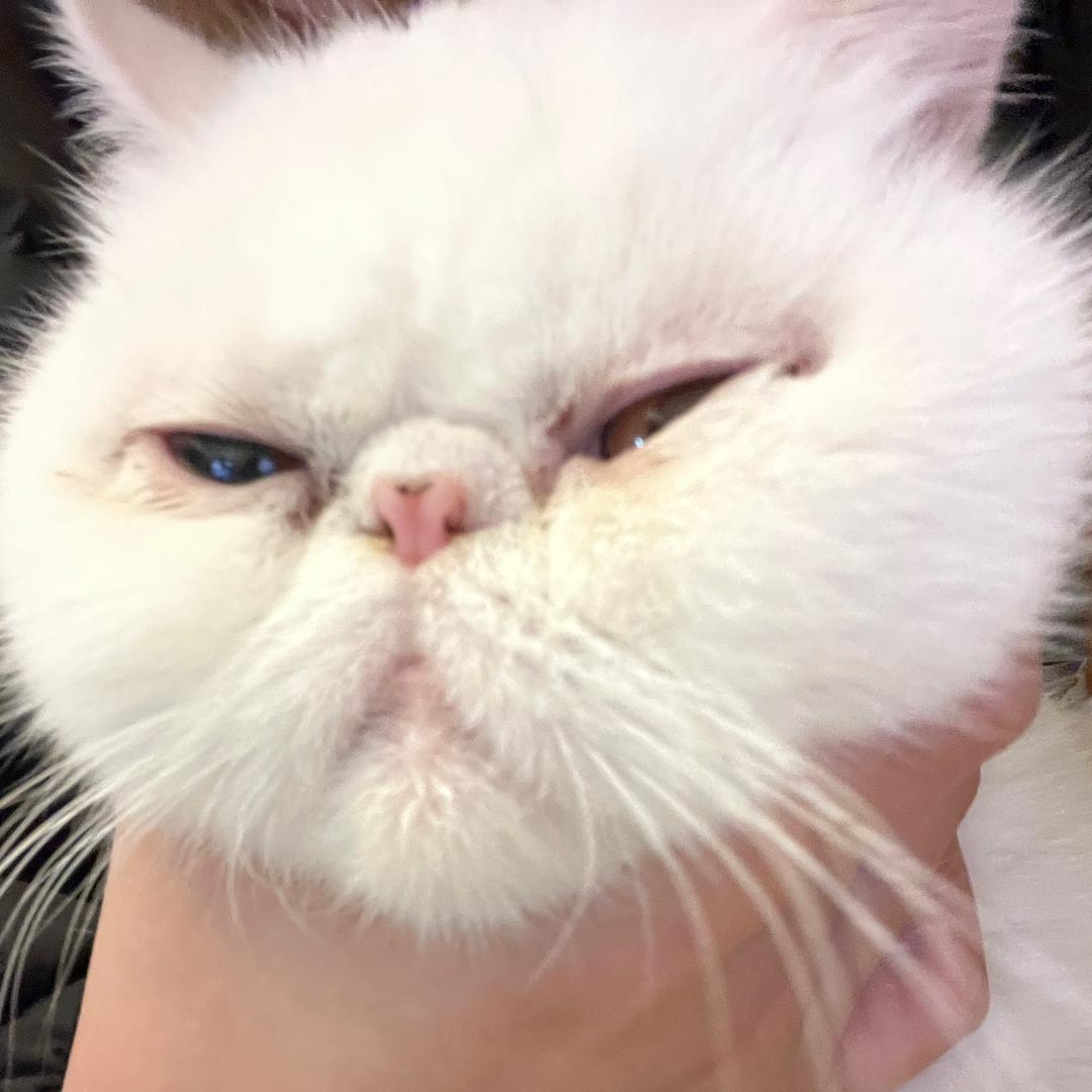 不想和你玩脑子