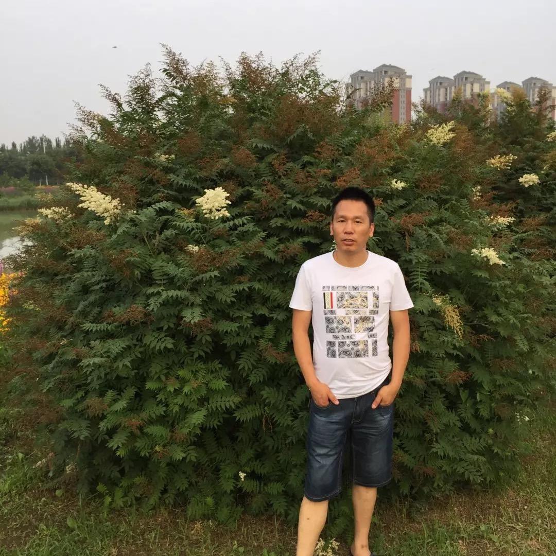苍天在上