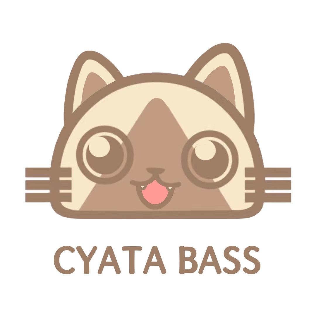 🔥喵贝斯Cyata🔥
