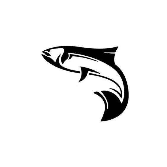 九斤儿招牌酱焖鱼官方号