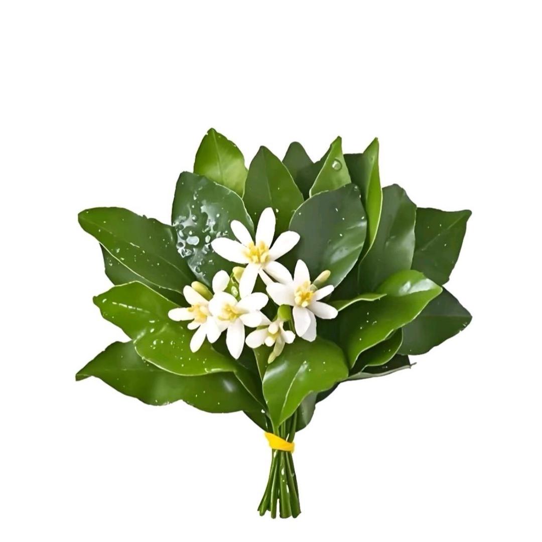 @介怀