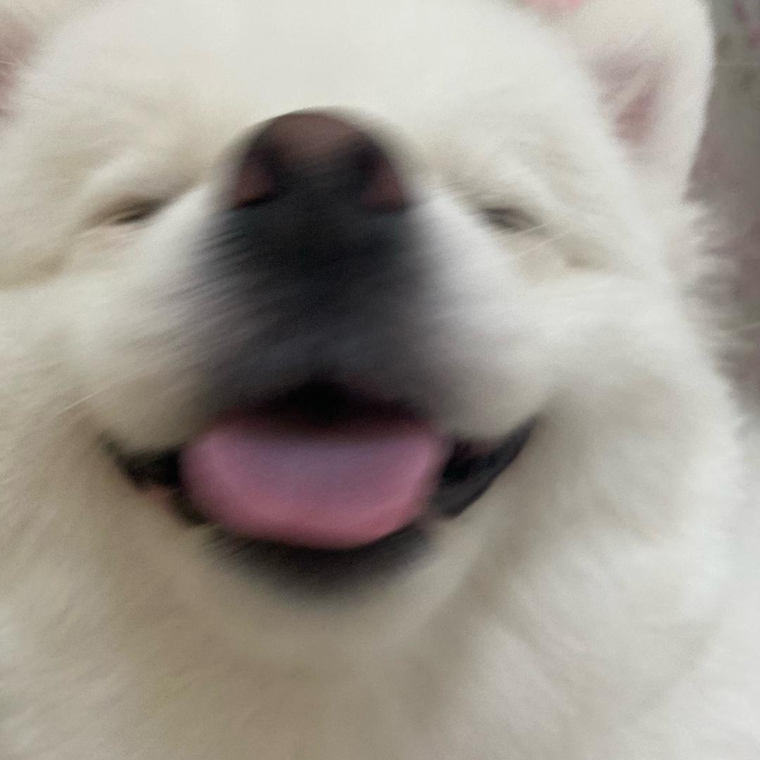 ~你的菲菲