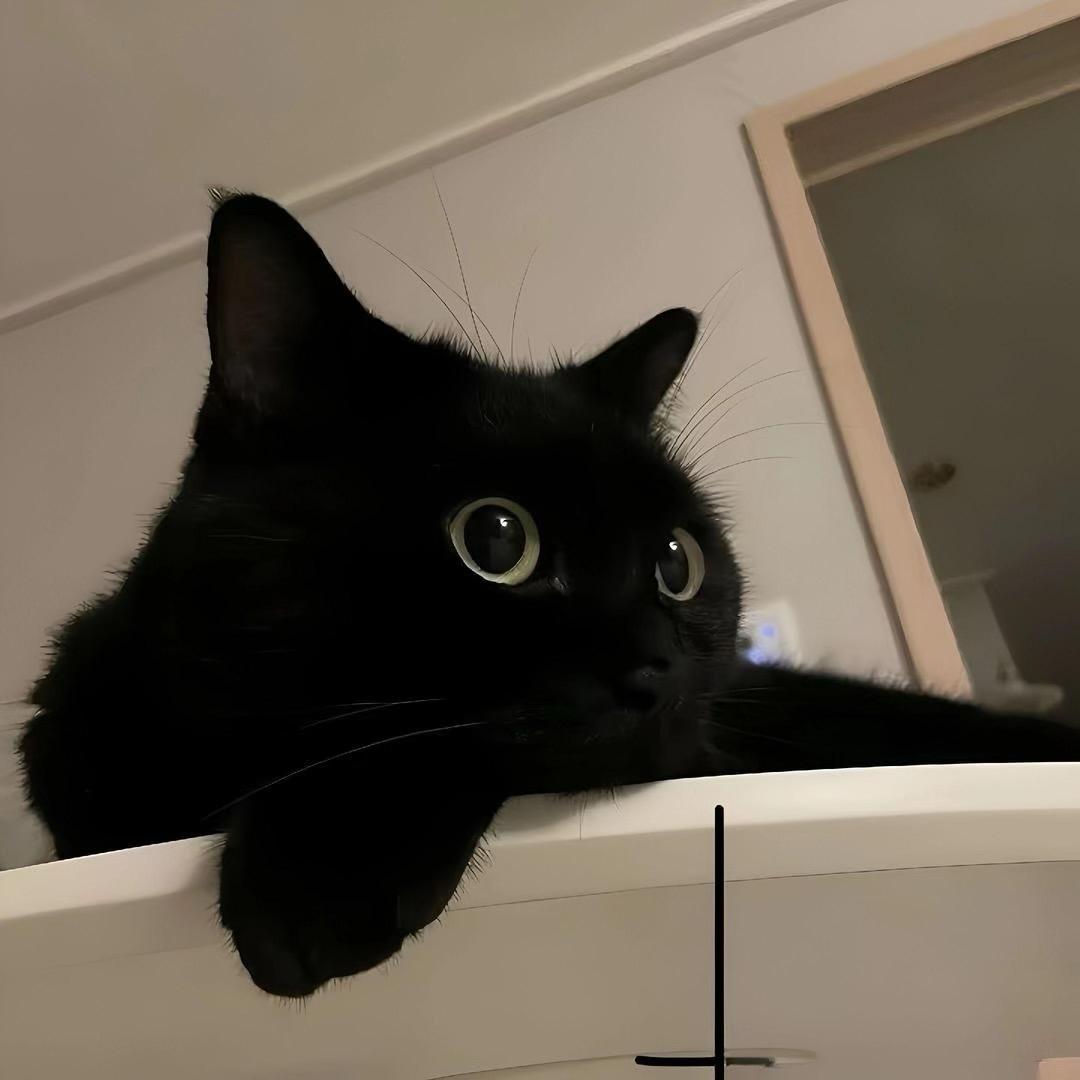 猪宝儿💄