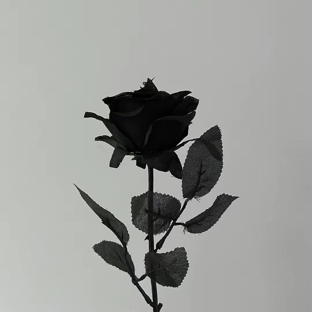 莲的百万·诗诗