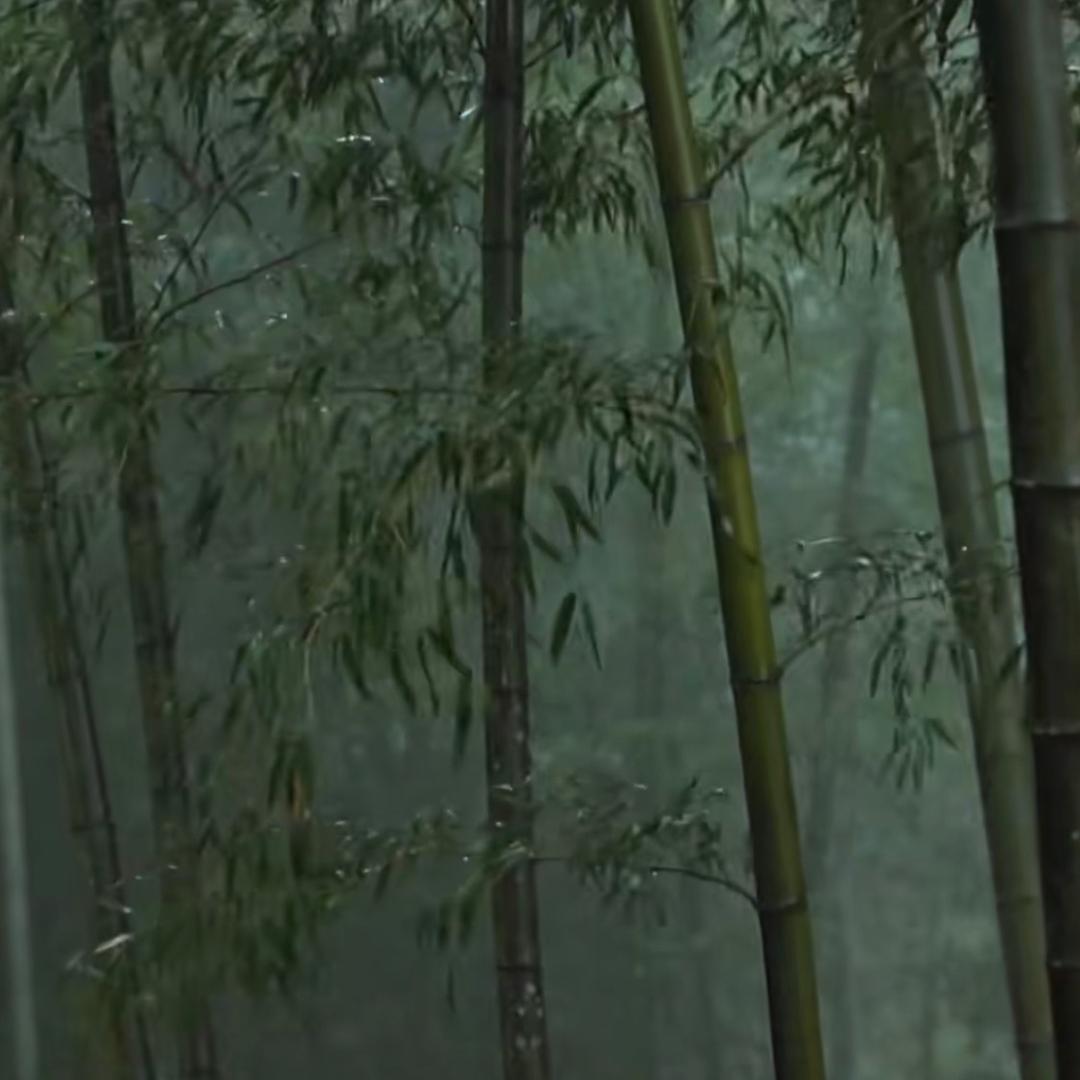 手机摄影