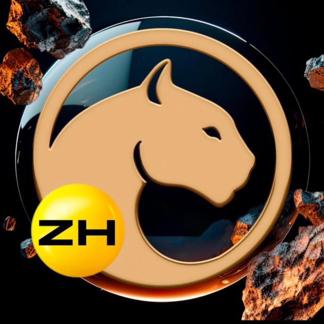 佛萨奇metaforce🐎